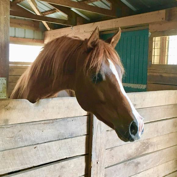 Meet your Posher, Jamie - Picture 1 of 1